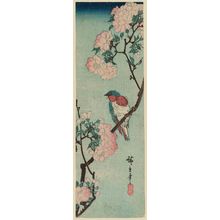 Utagawa Hiroshige: Bird and Double Cherry - Museum of Fine Arts