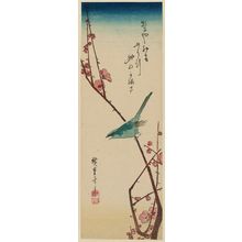 Utagawa Hiroshige: Warbler on Red Plum Branch - Museum of Fine Arts