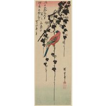 Utagawa Hiroshige: Macaw on Ivy Vine - Museum of Fine Arts