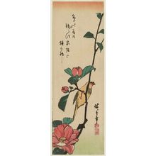 Utagawa Hiroshige: Canary on Camellia Branch - Museum of Fine Arts