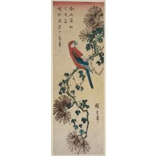 日本版画 "Macaw on Ivy-covered Pine Branch" 由 Utagawa Hiroshige, 歌川広重 (Utagawa Hiroshige I) 创作