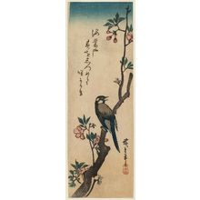 Utagawa Hiroshige: White-cheeked Bird on Aronia Branch - Museum of Fine Arts