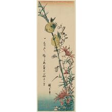 Utagawa Hiroshige: Little Green Birds and Chrysanthemums - Museum of Fine Arts
