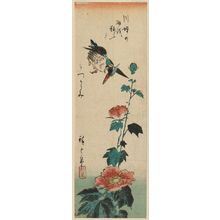 Utagawa Hiroshige: Kingfisher and Hibiscus - Museum of Fine Arts