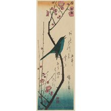 Utagawa Hiroshige: Warbler on Red Plum Branch - Museum of Fine Arts