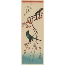 Utagawa Hiroshige: Warbler on Red Plum Branch - Museum of Fine Arts