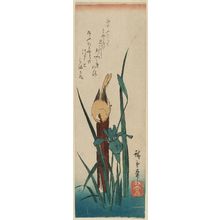 Utagawa Hiroshige: Yellow Bird and Iris - Museum of Fine Arts