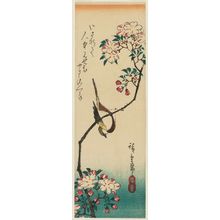 Utagawa Hiroshige: Bird on Cherry Branch - Museum of Fine Arts