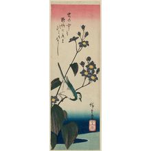 Utagawa Hiroshige: Wagtail and Mizu-aoi - Museum of Fine Arts