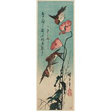 Utagawa Hiroshige: Sparrows and Poppies - Museum of Fine Arts