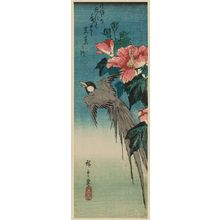 Japanese Print "Long-tailed Bird and Hibiscus" by Utagawa Hiroshige, 歌川広重 (Utagawa Hiroshige I)