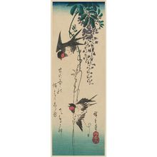 Utagawa Hiroshige: Swallows and Wisteria - Museum of Fine Arts