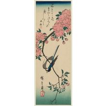 Utagawa Hiroshige: Bird and Double Cherry - Museum of Fine Arts