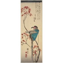 Utagawa Hiroshige: Pet Monkey and Maple Leaves - Museum of Fine Arts