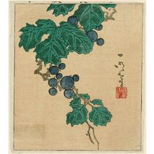 Ichimei: Grapes - Museum of Fine Arts