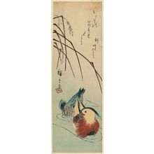 日本版画 "Mandarin Ducks and Reeds" 由 Utagawa Hiroshige, 歌川広重 (Utagawa Hiroshige I) 创作