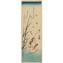 Utagawa Hiroshige: Oyster-catchers (Miyakodori), Reeds, and Falling Petals - Museum of Fine Arts