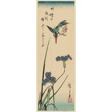 Utagawa Hiroshige: Kingfisher and Iris - Museum of Fine Arts