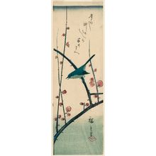 Utagawa Hiroshige: Warbler on Red Plum Branch - Museum of Fine Arts