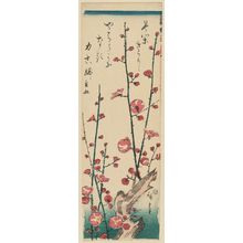 歌川広重: Flowering Plum Tree - ボストン美術館