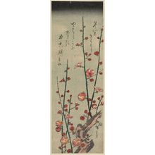 Utagawa Hiroshige: Flowering Plum Tree - Museum of Fine Arts