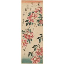 Utagawa Hiroshige: Wild Roses - Museum of Fine Arts