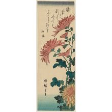 Utagawa Hiroshige: Chrysanthemums - Museum of Fine Arts