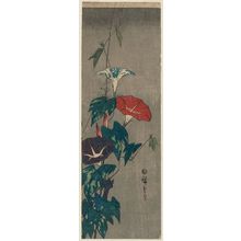 Utagawa Hiroshige: Morning Glories - Museum of Fine Arts