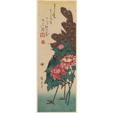 Utagawa Hiroshige: Peacock and Peonies - Museum of Fine Arts