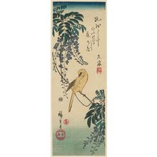 Utagawa Hiroshige: Canary and Wisteria - Museum of Fine Arts