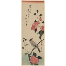 Utagawa Hiroshige: Camellia and Bulfinch - Museum of Fine Arts