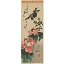 Utagawa Hiroshige: Bird and Hibiscus - Museum of Fine Arts