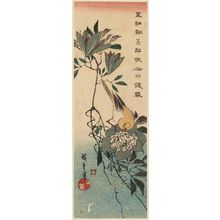 Utagawa Hiroshige: Canary and Clematis - Museum of Fine Arts