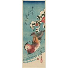 Utagawa Hiroshige: Mandarin Ducks and Snow-covered Camellias - Museum of Fine Arts