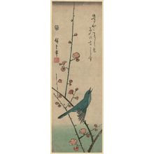 Utagawa Hiroshige: Warbler on Red Plum Branch - Museum of Fine Arts