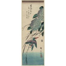 歌川広重: Kingfisher and Hydrangea - ボストン美術館