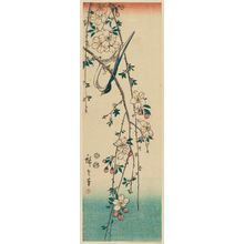 Utagawa Hiroshige: Bird and Weeping Cherry - Museum of Fine Arts