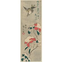 Utagawa Hiroshige: Sparrow and Camellia in Snow - Museum of Fine Arts
