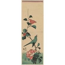 Utagawa Hiroshige: Warbler on Camellia Branch - Museum of Fine Arts