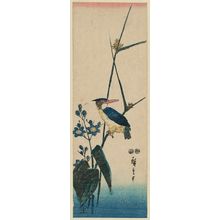 Utagawa Hiroshige: Kingfisher and Mizu-aoi - Museum of Fine Arts