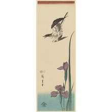 Utagawa Hiroshige: Cuckoo and Iris - Museum of Fine Arts