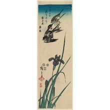 Utagawa Hiroshige: Swallows and Iris - Museum of Fine Arts