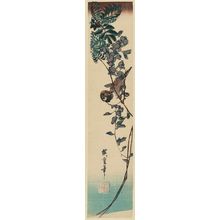 Utagawa Hiroshige: Sparrow and Wisteria - Museum of Fine Arts