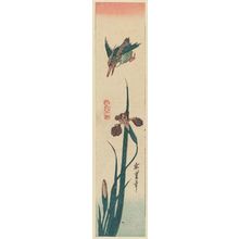 Utagawa Hiroshige: Kingfisher and Iris - Museum of Fine Arts