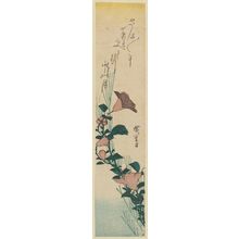 Utagawa Hiroshige: Bellflowers - Museum of Fine Arts