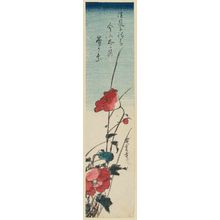 Utagawa Hiroshige: Poppies - Museum of Fine Arts