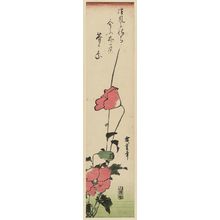 Utagawa Hiroshige: Poppies - Museum of Fine Arts