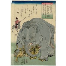 歌川芳豊: The Great Elephant Imported from Central India (Chû 