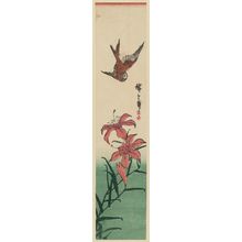 Utagawa Hiroshige: Swallow and Lily - Museum of Fine Arts