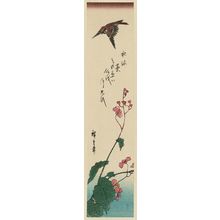 Utagawa Hiroshige: Sparrow and Begonia - Museum of Fine Arts